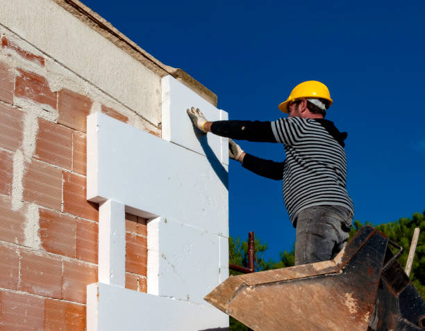 Best Insulation Contractors for Homes  in Ottumwa, IA