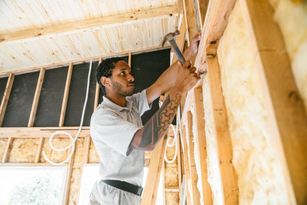 Best Insulation Repair Services  in Ottumwa, IA