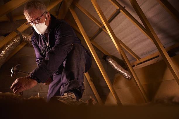 Best Insulation Inspection Services  in Ottumwa, IA